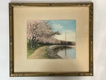 Vintage Hand Tinted Photo Of Washington Monument Cherry Blossoms