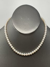 Pearl Necklace (91)