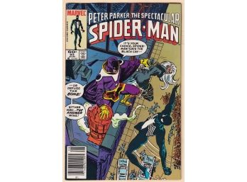 Peter Parker The Spectacular Spider-man #93