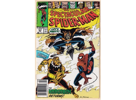 Peter Parker The Spectacular Spider-man #161