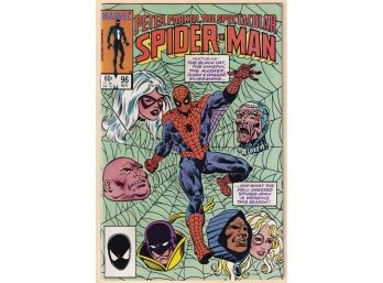 Peter Parker The Spectacular Spider-man #96