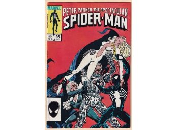Peter Parker The Spectacular Spider-man #95