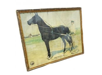 Antique Dan Patch Lithograph Framed