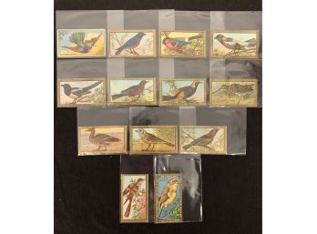 Lot Of 13 1910 Mecca T42 Bird Cards