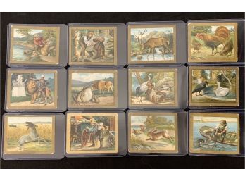 Lot Of 12 1910 T57 Turkish Trophies Fable Series Cards
