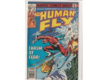 Marvel Human Fly #13