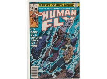 Marvel Human Fly #10