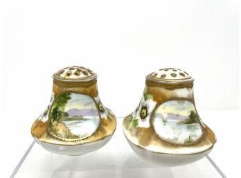 Limoges Hand Painted Salt And Pepper Shakers