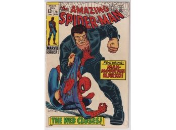 MARVEL The Amazing Spider-Man #73