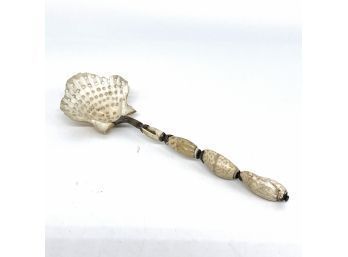 Antique Shell Spoon