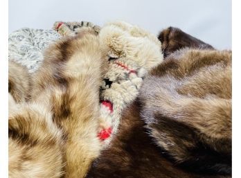 Collection Of Fur Stoles