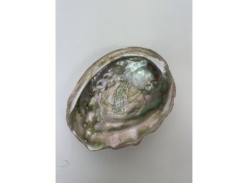 Large Iridescent Abalone Shell