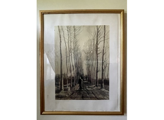 Framed Lithograph - Road With Poplars -
