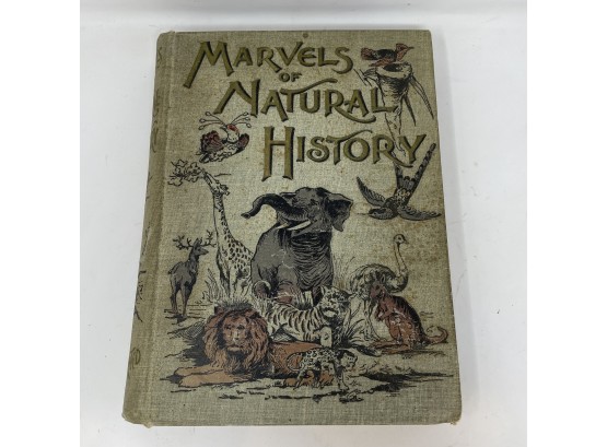 Antique Book - Marvels Of Natural History - 1897