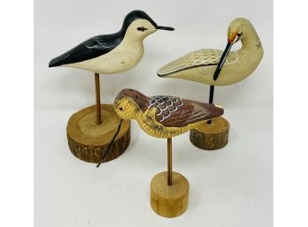 Collection Of Carved Shore Bird Decoys - Unsigned