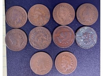 10 Indian Head Pennies Lot 5
