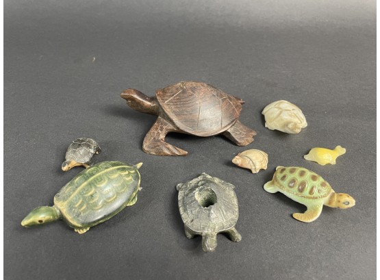 Collection Of Trinket Size Turtles