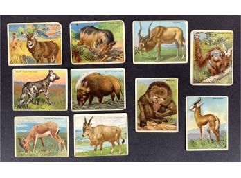 Lot Of (10) 1910 Hassan Animal Tobacco Cards