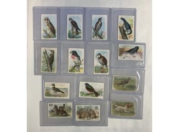 1920s Game Bird Cards Arm & Hammer Etc Non Sports Cards