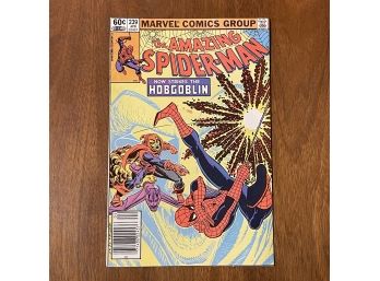 The Amazing Spider-Man #289 2nd Appearance Of HobGoblin