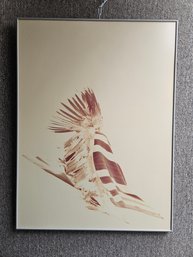 S10 - Jack Silverman Serigraph Indian Chief - Unsigned - Faded - 30.25'x40.25' - LOCAL PICKUP ONLY