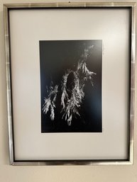 H78 Framed Photo? Signed 14.5' X 18.5' (framed Chipped)