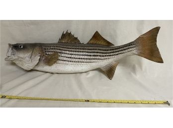 Nice Wall Hanging Fish 24 Inches