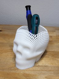 Wireframe Skull Model Pencil Holder  4' X 3.5'