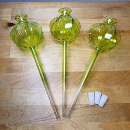 Self Watering Glass Plant Globes Spikes