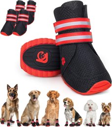 Breathable Dog Shoes For Small Dogs - X4 Dog Boots For Hiking, Rain, Heat & General Paw Protection  Size 65
