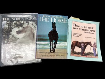 Lot Of 3 Coffee Table Horse Books