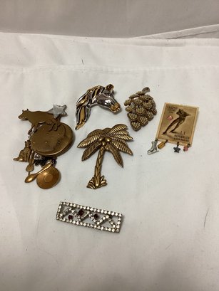 Vintage Pin/brooch Lot