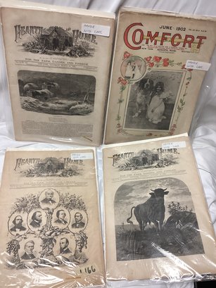 Late 1800 And Early 1900 Magazines - Comfort And Hearth And Home