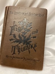 The Story Of An Earnest Man Figs & Thistles - 1879 Hardcover Book