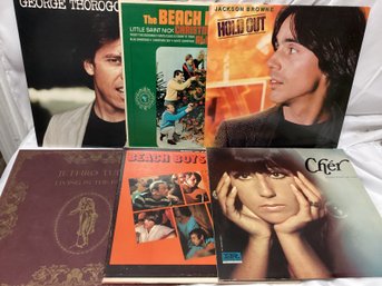 Vinyl Lot - Beach Boys And More