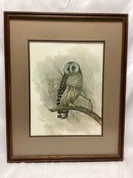 E. Rambow Framed Owl Print