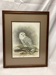 E. Rambow Framed Owl Print