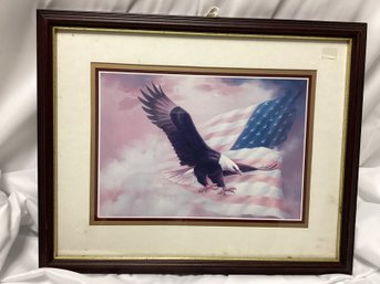 American Eagle Soar Framed Print