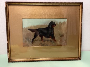 Gordon Setter By Arnault