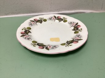 Shelley Porcelain Desert Plate