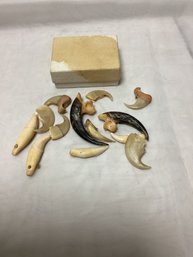 Lot Of Teeth From The Amazon - Authentic