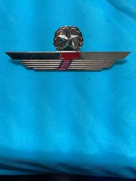 Captain Pilot Star Gold Wing Original Pin