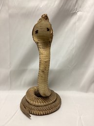 Cobra Snake Taxidermy