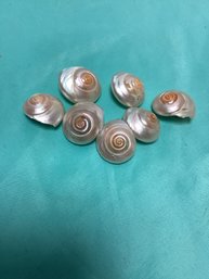 Pearl Shell Vintage Buttons Lot