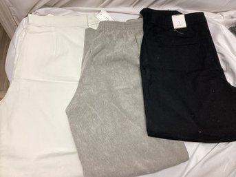 Pant Lot - Alfred Dunner, J. Crew, Chicos, All NWT