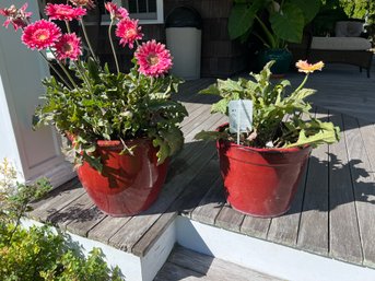 Two Red Glazed Planters