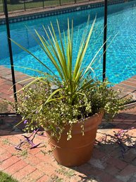 Pair Of Terra Cotta Planters With Palm And Flowers