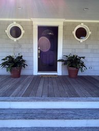 Pair Of Terra Cotta Planters With Plants