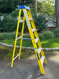 6 Foot Louisville Ladder