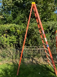 Werner Professional 12 Ft Ladder